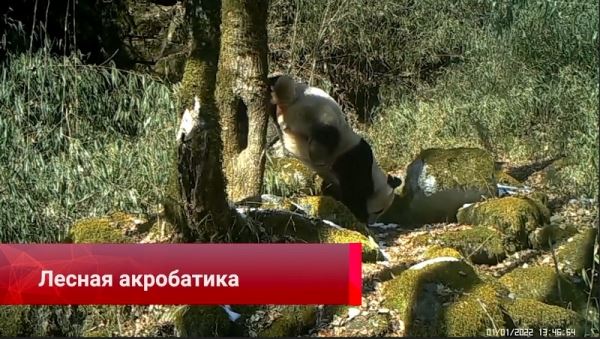 Пекинские школьники получили письмо с Китайской космической станции