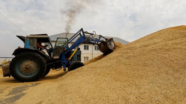 Гутерриш: решение продовольственного кризиса невозможно без продукции России и Украины 